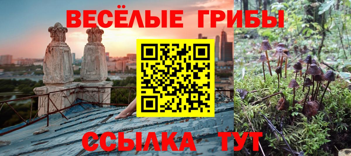 Галлюциногенные грибы ЛСД Ейск